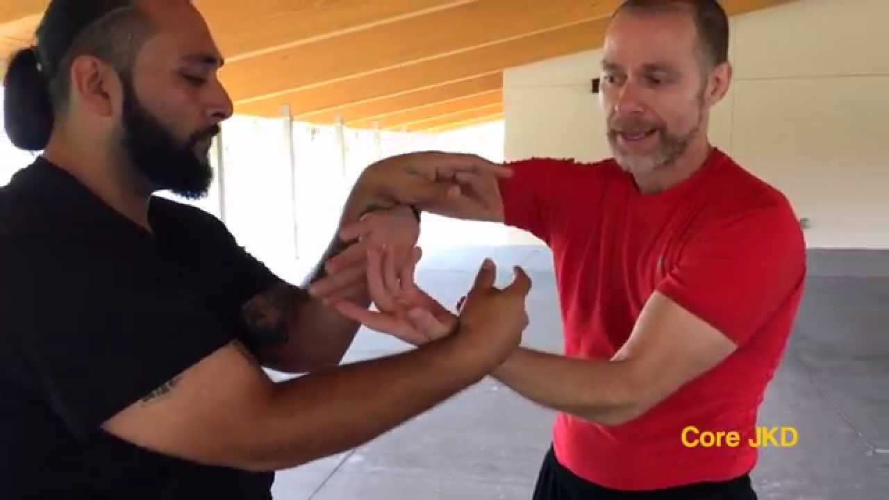 Wing Chun Snake And Crane Chi Sao flow