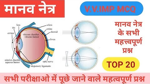 मानव नेत्र/manav netra objective question/netra se sambandhit question/ lucent science gk quiz