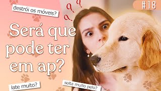 O que você PRECISA saber antes de ter um Golden Retriever!