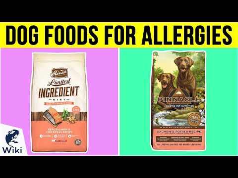 10-best-dog-foods-for-allergies-2019