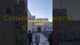 Молитва от сглаза...#shots #вера #вдохновенье #молитва #религия