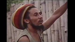 Bob Marley - Lively Up Yourself (Live at Reggae Sunsplash ll, 1979) chords