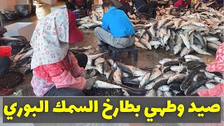 صيد وطهي بطارخ السمك البوري في دول جنوب شرق آسيا