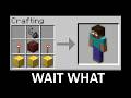 Minecraft wait what meme part 64 (Crafting Herobrine)