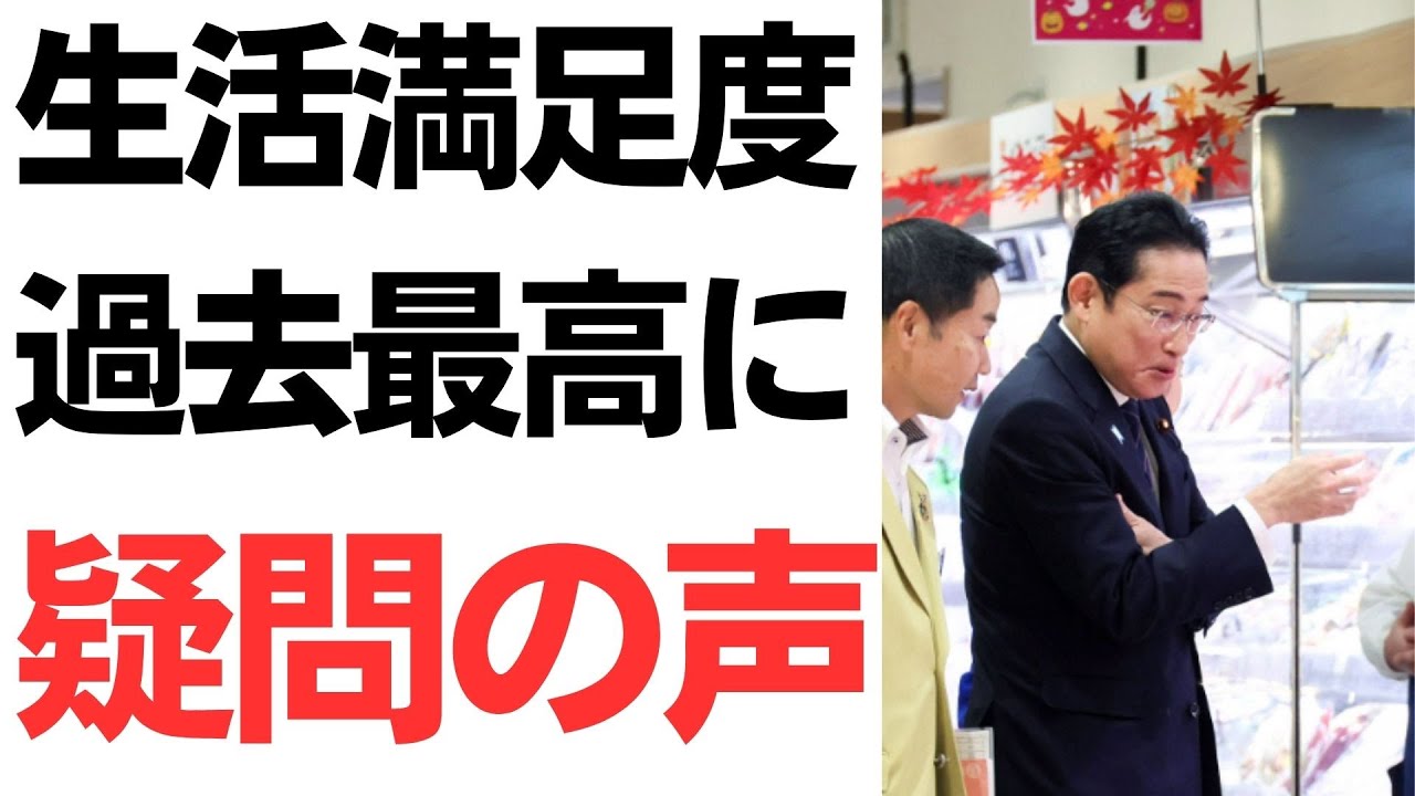 内閣府「満足度・生活の質に関する調査」をめぐる論点｜動画内容を整理のサムネイル