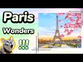 Why Paris looks weird    I   weird facts about eiffel tower