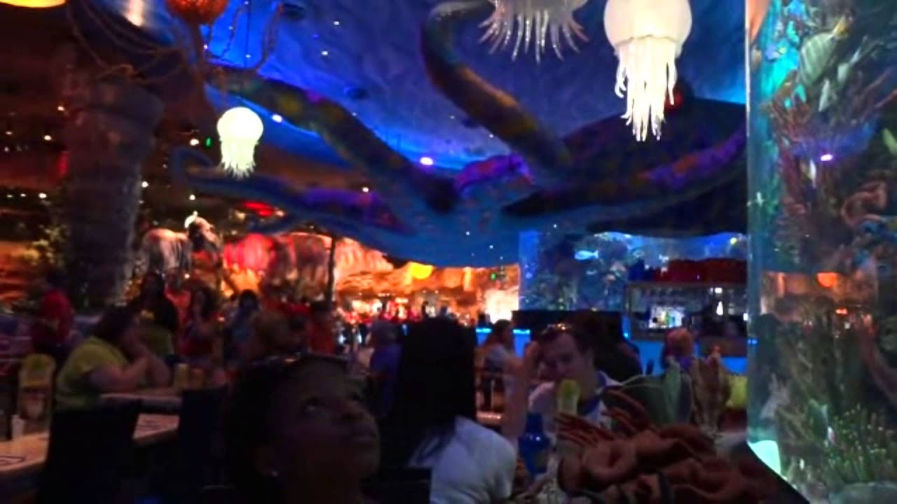 Orlando Downtown Disney Dinosaur Restaurant Orlando Downtown Disney Dinosaur Restaurant