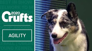 Kennel Club Novice Cup Agility Final (Agility)  Part 2 | ​Crufts 2020