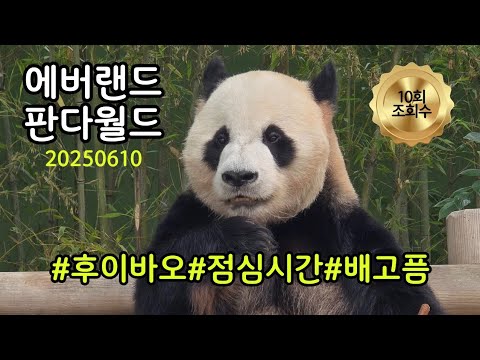 에버랜드 후이바오 밥먹다 깜놀