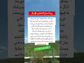 ربنا اعدل العادلين علم النفس ذواقه اكسبلور جديدي معلومات اصطوري تيك توك اقنباسات ترند