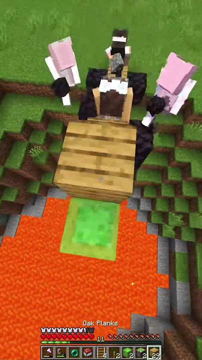 @RachelMaeyley Minecraft egirl trickshot