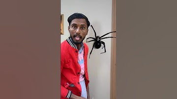 Survival Skills: SMART idea and USEFUL in Forest #bushcraft #camping #outdoors #survival