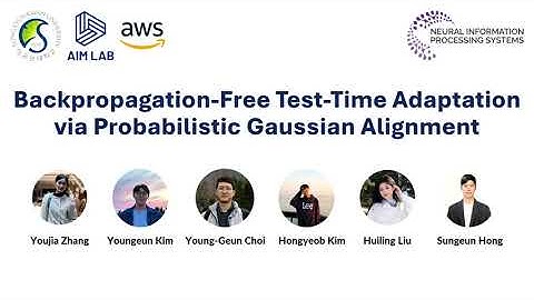 [NeurIPS 2025] Backpropagation-Free Test-Time Adaptation via Probabilistic Gaussian Alignment