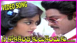 Nee Kokakintha Kulukenduku Song - Donga Mogudu Telugu Hd Video Songs - Chiranjeevi ,Bhanu Priya