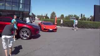 Lamborghini Aventador & Urus