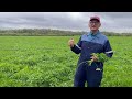 Ken gill talks about the role and management of red clover on his farm