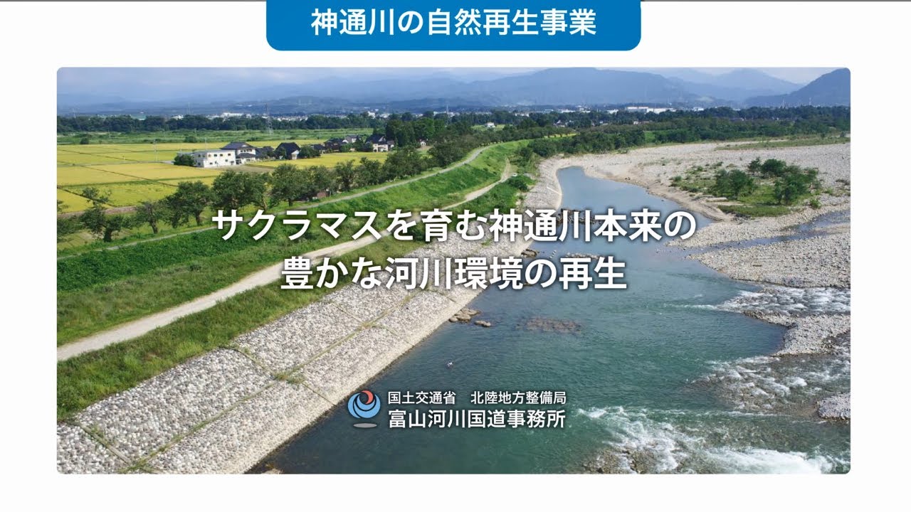 神通川の自然再生事業 - YouTube