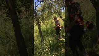 Stihl Fs 561-C The Supreme Machine With His Top Accessories