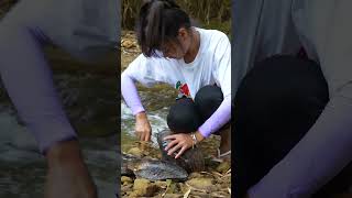 😘The Girl Dug Up A Giant Clam To Fetch Pearls