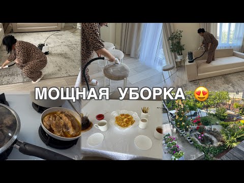 Мотивация на уборку/ чищу мягкую мебель и ковры после свадьбы 