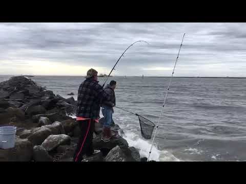 Vídeo: Pescando El Atchafalaya - Red Matador