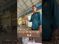 PLP #education