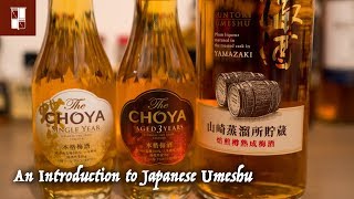 an introduction to japanese umeshu (plum liqueur)