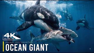OCEAN GIANTS 4K | The Largest Creatures Ever to Rule the Seas | Documentary
