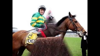 The Irish Field Cheltenham Review