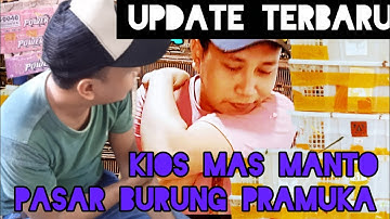 update terbaru di kios mas manto!! pasar burung pramuka