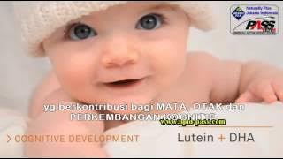 SUPER LUTEIN / S LUTENA Suplemen Kesehatan Terbaik Untuk Mata Dan Seluruh Tubuh