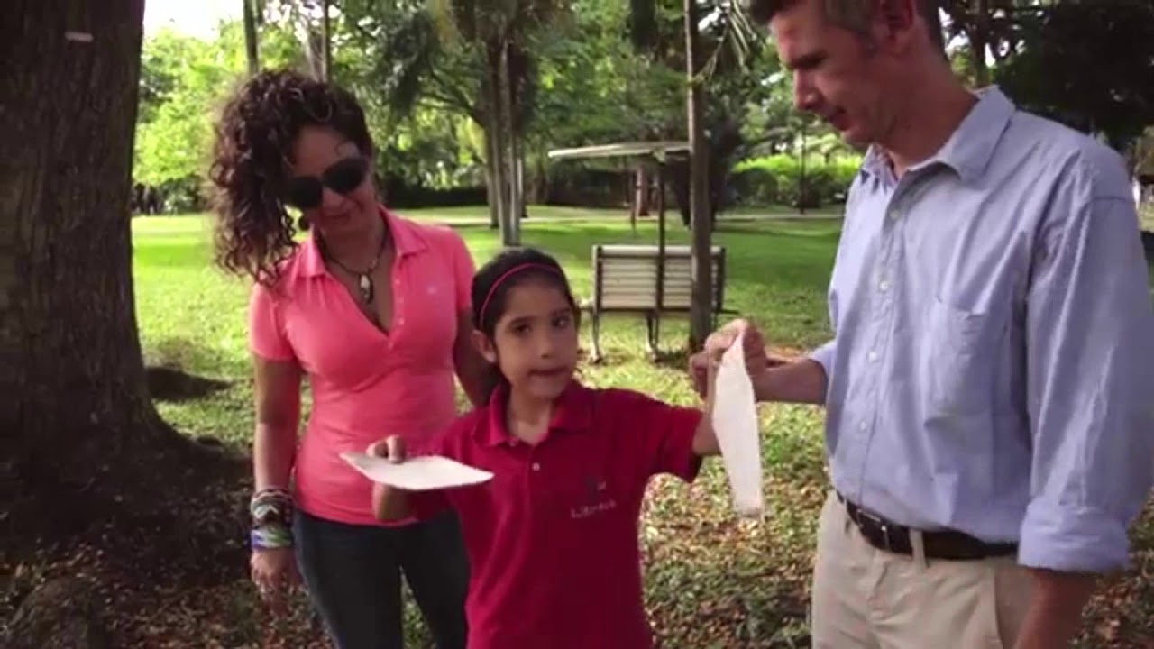 ¡Platos ecológicos!