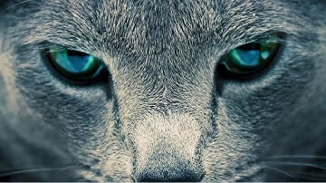 Biological data and bioinformatics (II) / Complex Data in Health [2020-21] / 10-11-2020