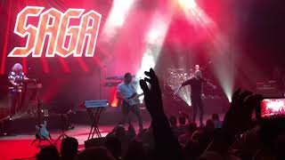 SAGA - The Perfectionist (live, The Final Chapter)