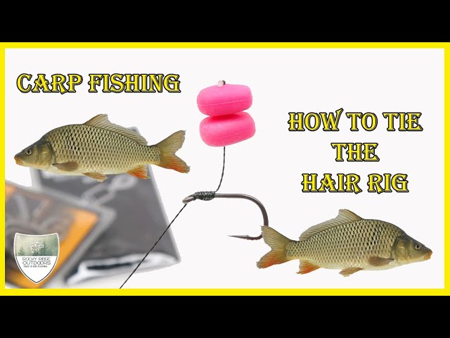 How To Tie A Basic Carp Rig  Hair Rig Setup Is Very Effective For Carp  Fishing. 