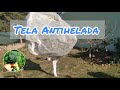 PROTEGER PLANTAS DE HELADAS !!!! (tela antihelada)