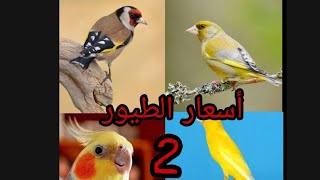 أسعار الطيور في الجزائر ⁦??⁩ / جزء (2)