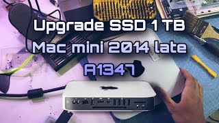 Mac Mini 2014 A1347 Upgrade SSD 1TB | disassembly