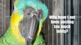 Why I Have Not Been Posting So Much Lately Rawa2012