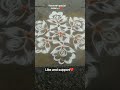 #7×4 dot#navarathri kolam#rangoli