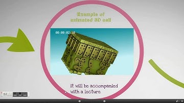 GIST Pitch : One Newton