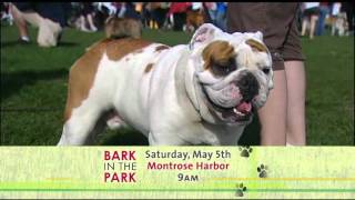 BARK IN THE PARK 2012.wmv