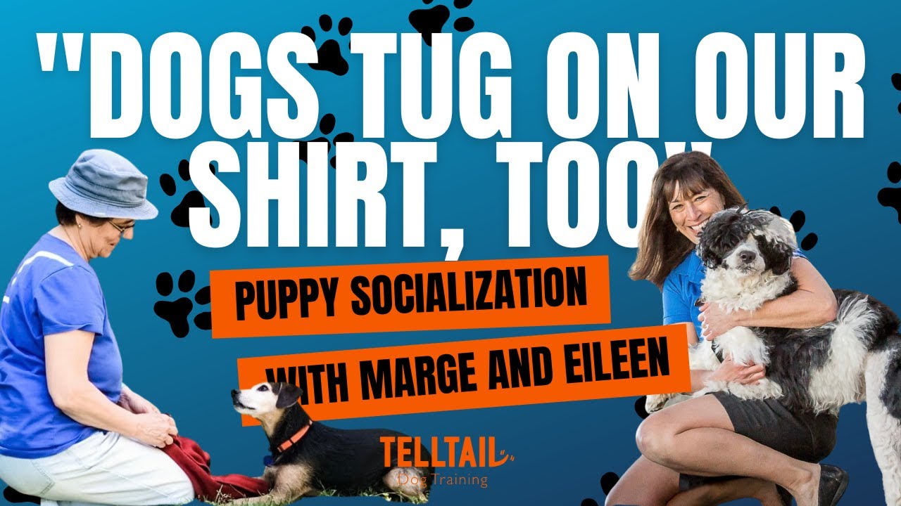 "Dogs Tug On Our Shirt, Too." - Puppy Socialization with Marge Rogers and Eileen Anderson