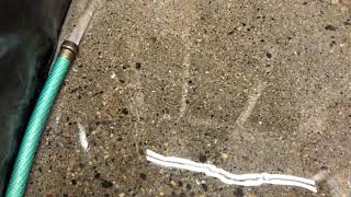 Polished Concrete Shower Floor