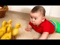 This Viral Baby Compilation Is the Funniest Thing Today! 🤣 | Funny Baby Videos