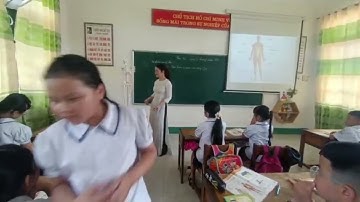 Bài 21  Tìm Hiểu cơ quan vận động (Tiết 1) - Khoa học & Tự nhiên xã hội lớp 2