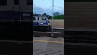 ZSW Zamenhof #viral #train
