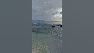 حسام الدين سورة الرحمان