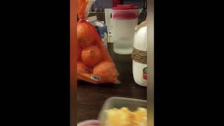 Orange Juice Or Oranges In This Economy?
