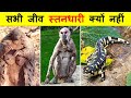 सभी जानवर अण्डे क्यों नहीं देते हैं ? MAMMALS VS OTHER ANIMALS.